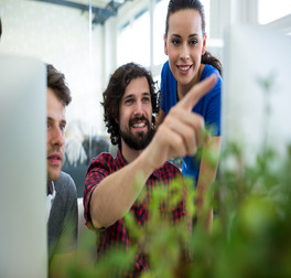 Sustainability Training